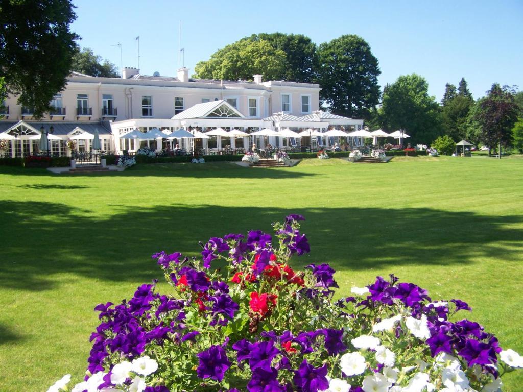 Phyllis Court Members Club Otel Henley-on-Thames Dış mekan fotoğraf